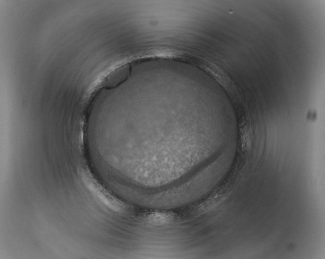 X0000115320350200911161750