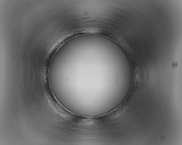 X0000115320351200911161750