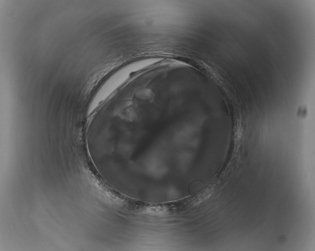 X0000115320353200911161750