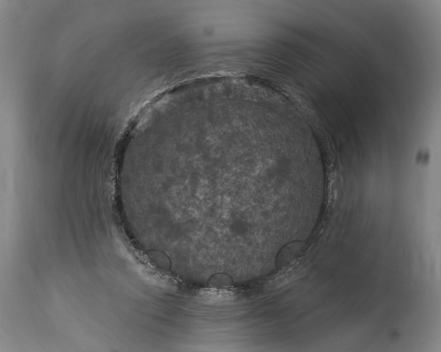 X0000115320354200911161750