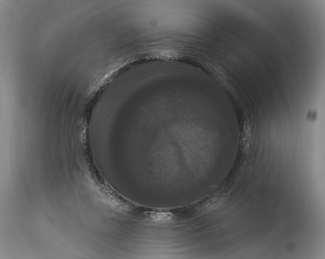 X0000115320355200911161750