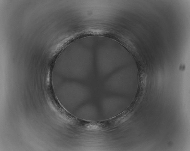 X0000115320358200911161751