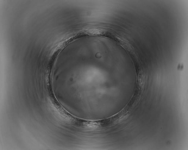 X0000115320359200911161751