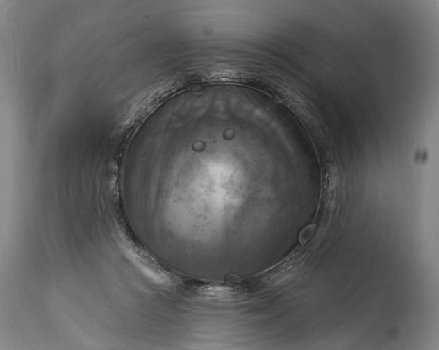 X0000115320361200911161751