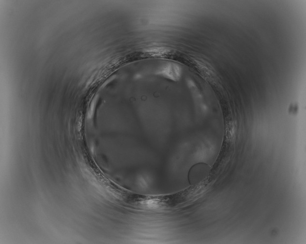 X0000115320365200911161751