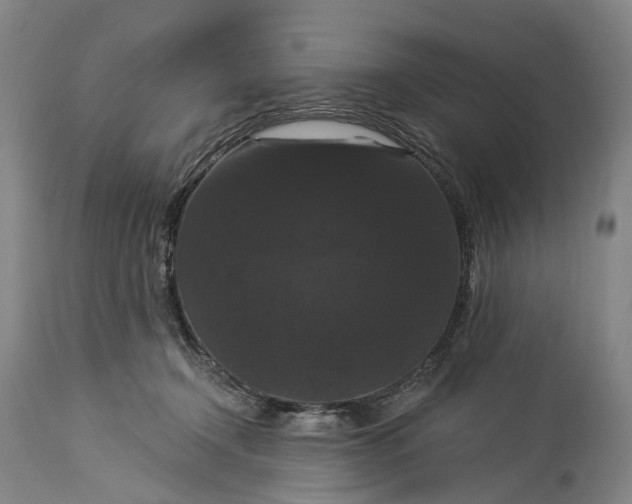 X0000115320366200911161751