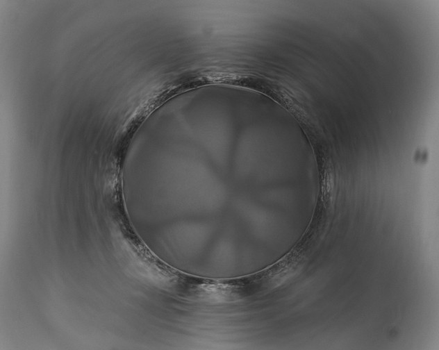 X0000115320367200911161751