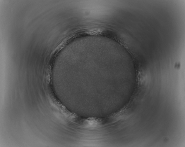 X0000115320370200911161751