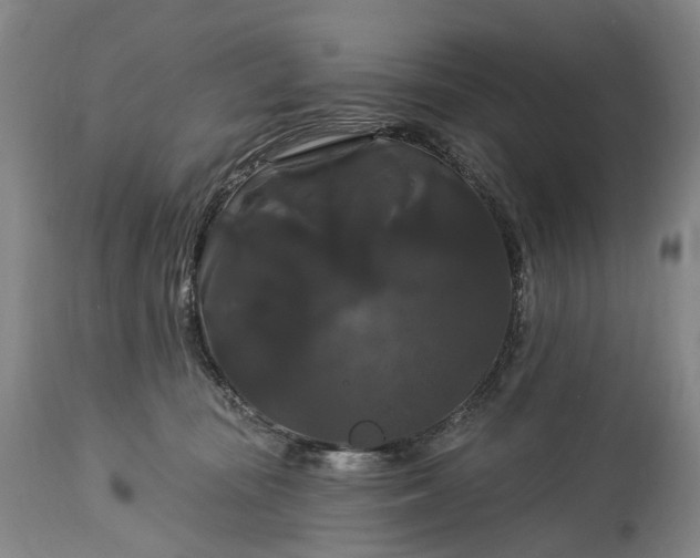 X0000115320371200911161751