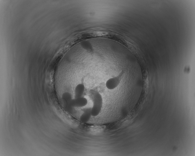 X0000115320373200911161751