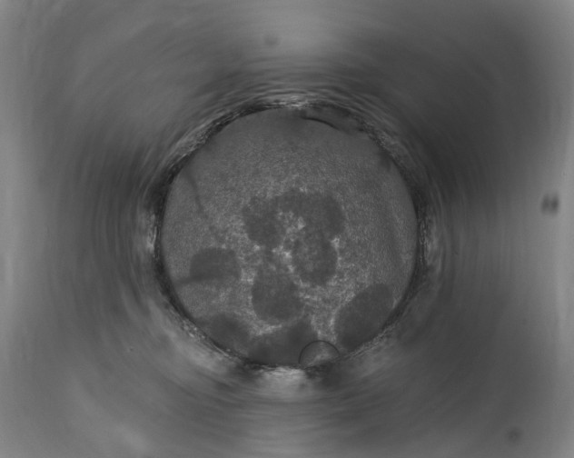 X0000115320374200911161751