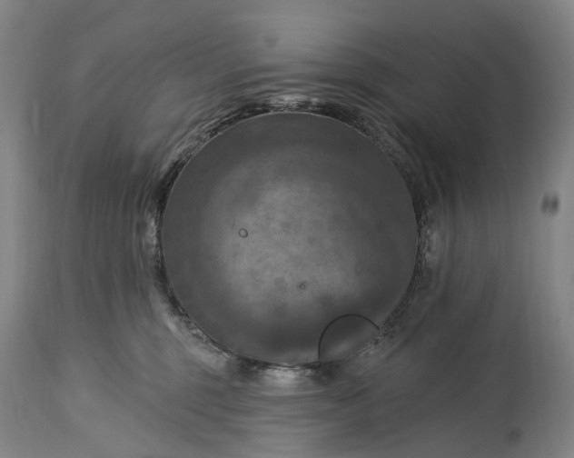 X0000115320375200911161751