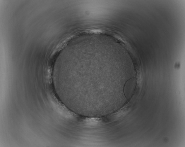 X0000115320378200911161751