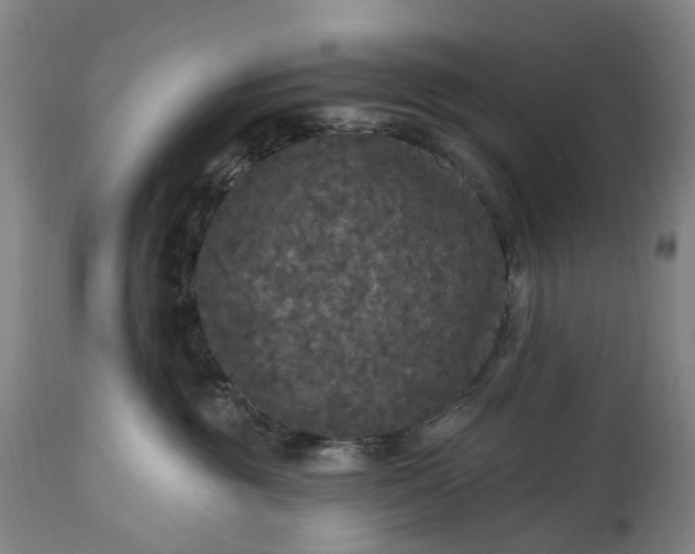 X0000115320381200911161751