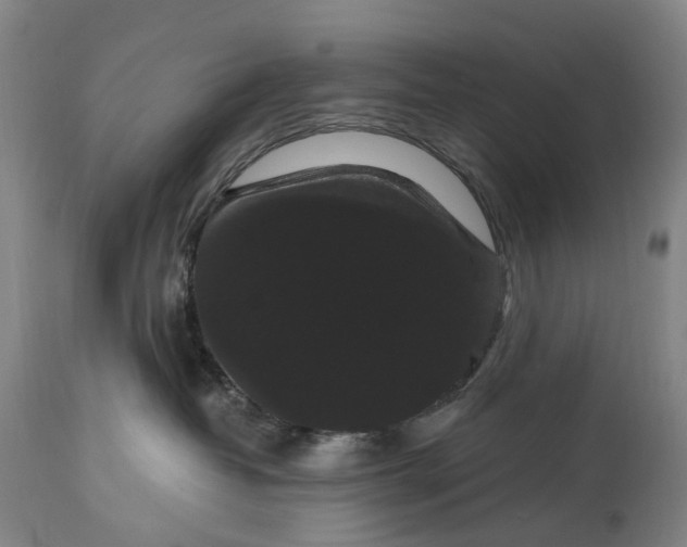 X0000115320382200911161751