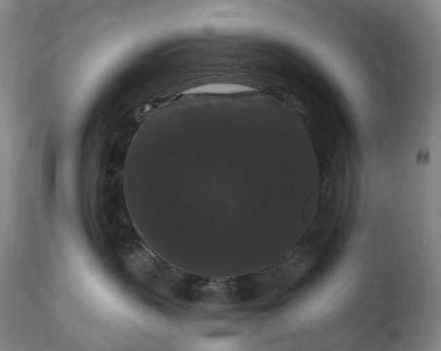 X0000115320383200911161751