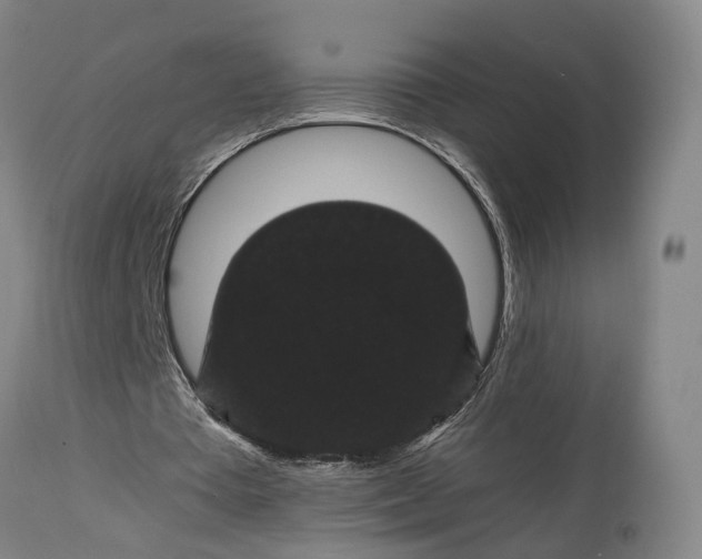 X0000115320385200911161750