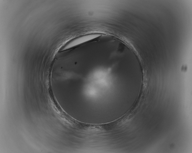 X0000115320386200911161750