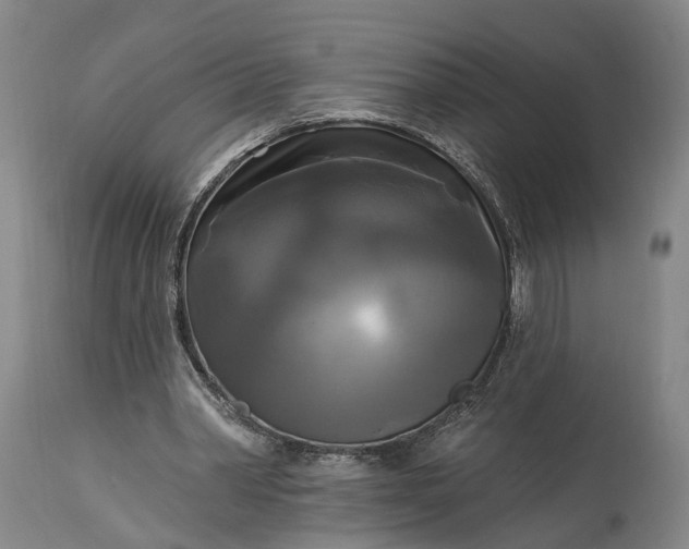 X0000115320390200911161750