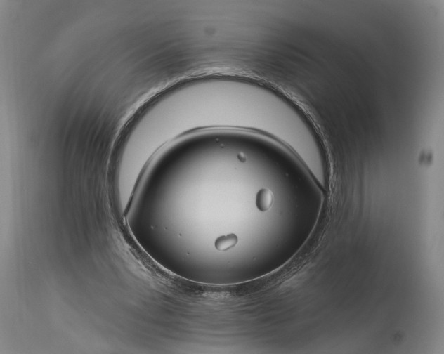 X0000115320391200911161750