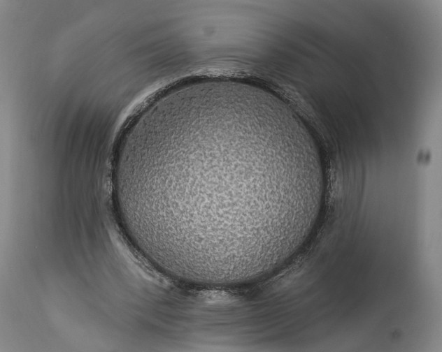 X0000115320392200911161750