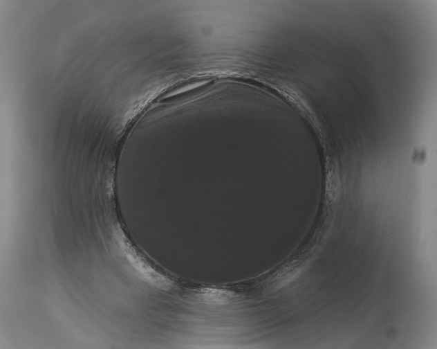 X0000115320393200911161750