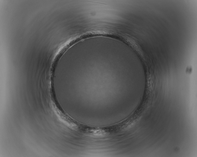 X0000115320395200911161750