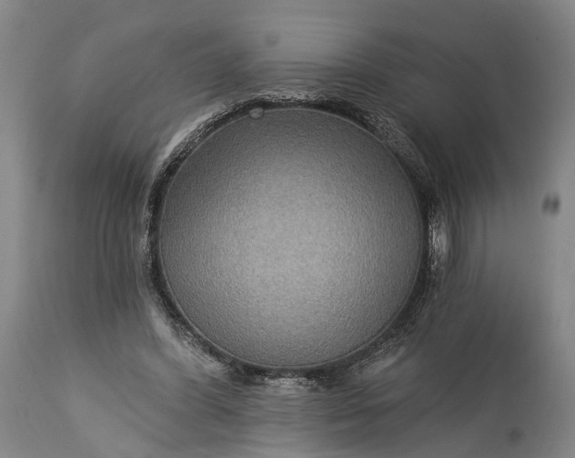 X0000115320396200911161750