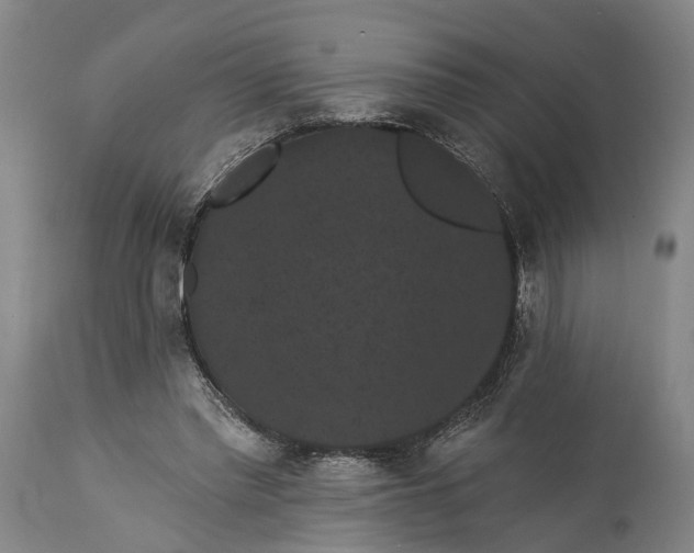 X0000115320397200911161750