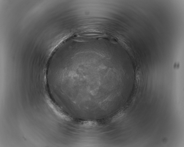 X0000115320398200911161750