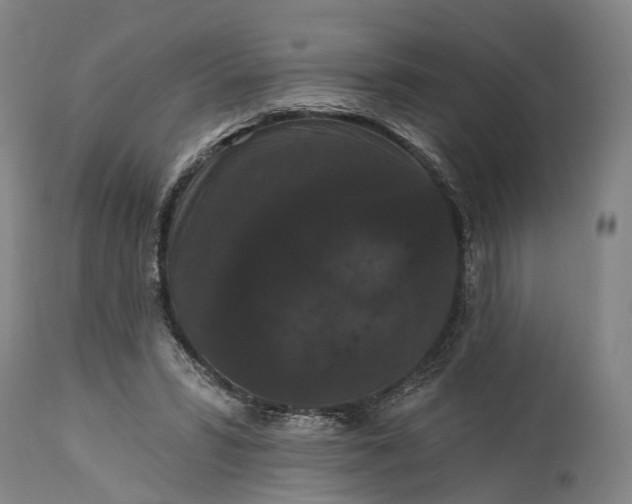 X0000115320399200911161750