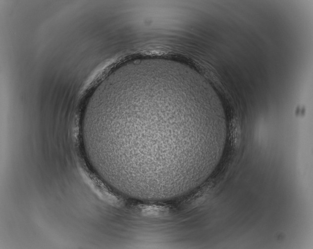 X0000115320400200911161750