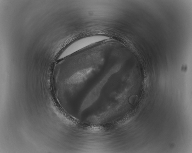 X0000115320402200911161750