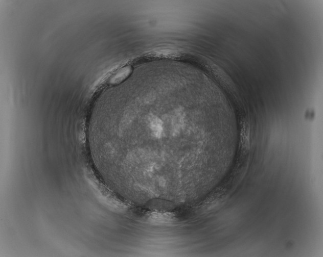 X0000115320403200911161750