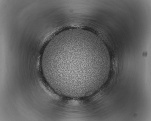 X0000115320404200911161750