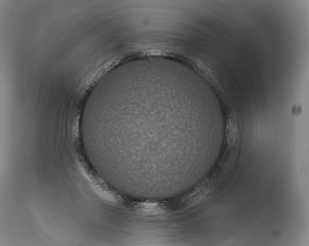 X0000115320406200911161750