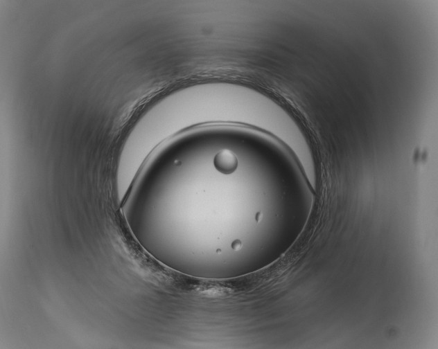 X0000115320407200911161750