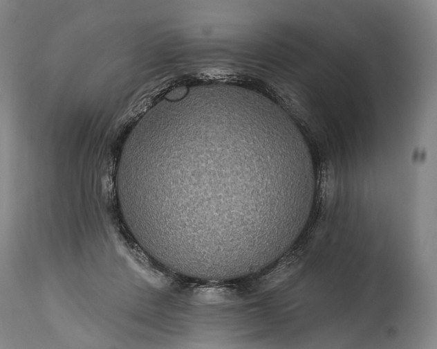 X0000115320408200911161750