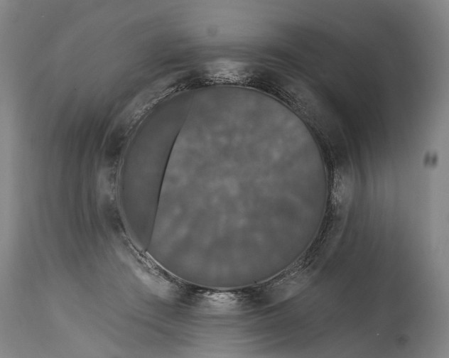 X0000115320409200911161750