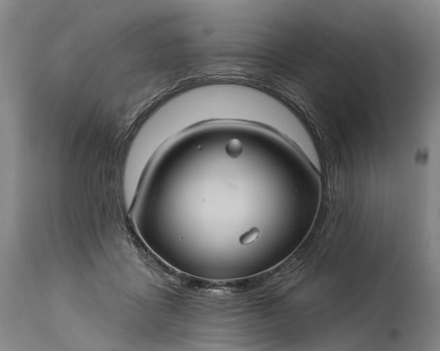 X0000115320411200911161750