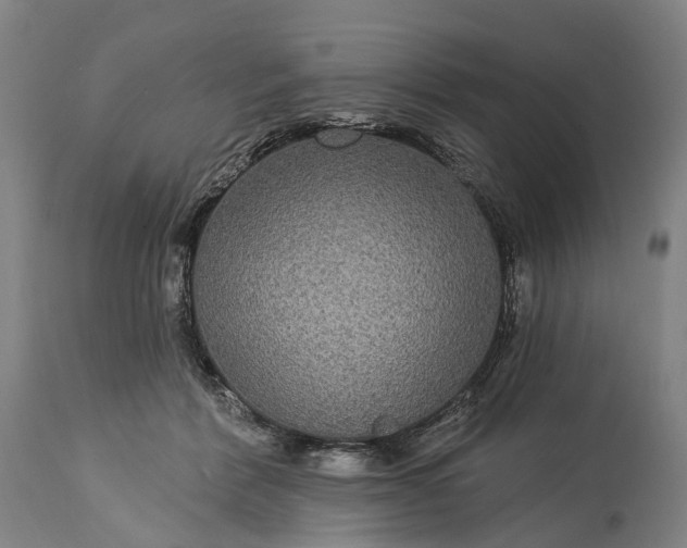 X0000115320412200911161750