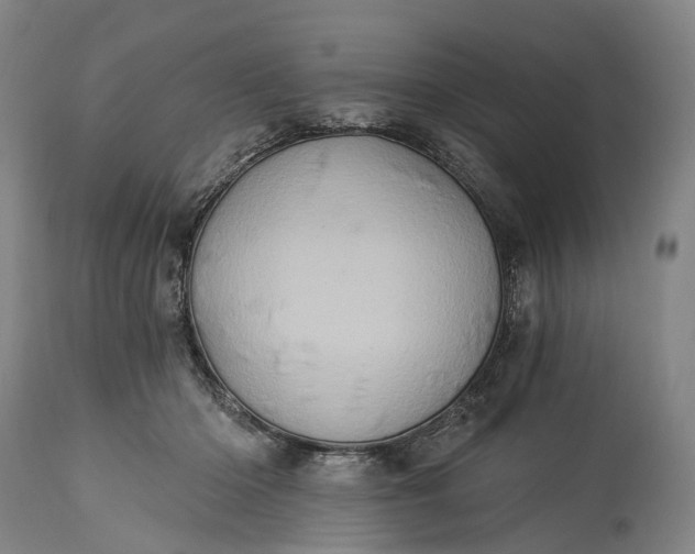 X0000115320414200911161750