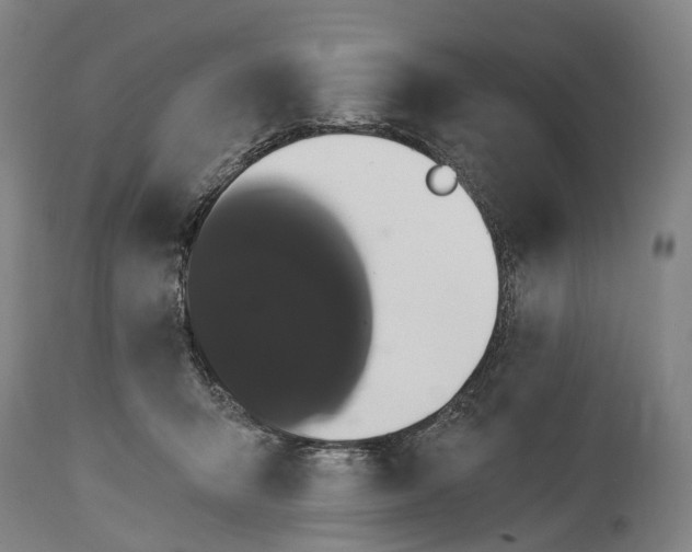 X0000115320415200911161750