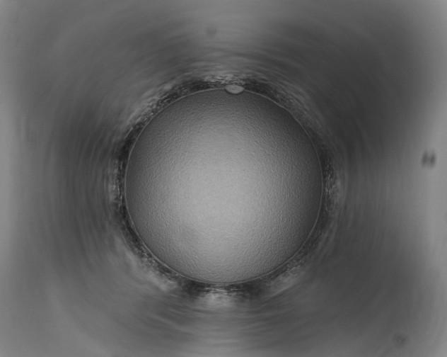 X0000115320416200911161750