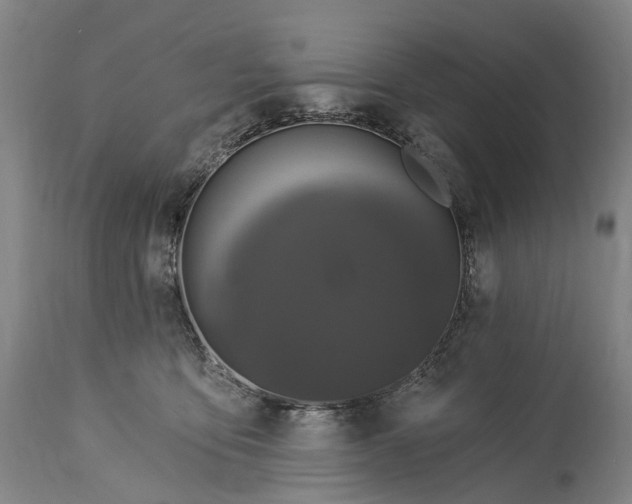 X0000115320419200911161749