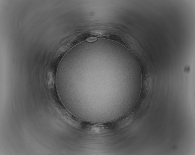 X0000115320420200911161749