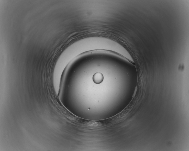 X0000115320421200911161749