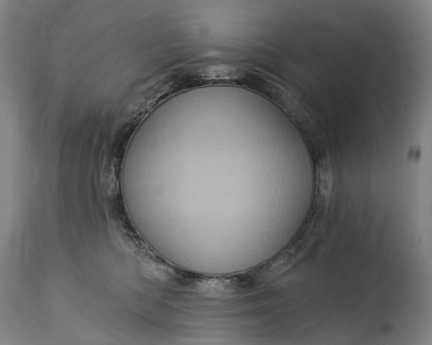 X0000115320422200911161749