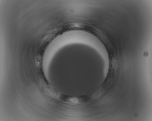 X0000115320423200911161749