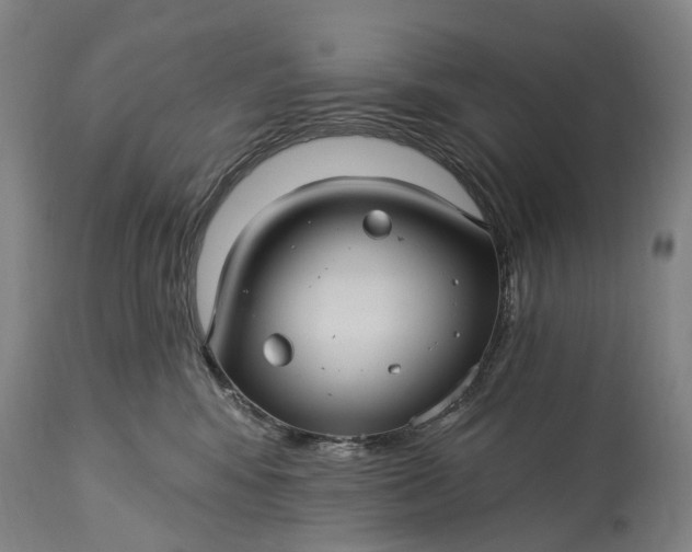 X0000115320424200911161749